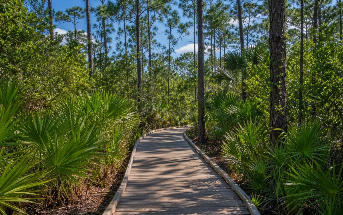 Naples Preserve near Coquina Sands FL