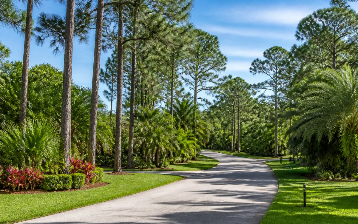 Pine Ridge Estates near Pine Ridge FL