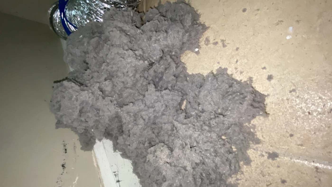 Dryer vent exterior showing lint restriction before professional cleaning.