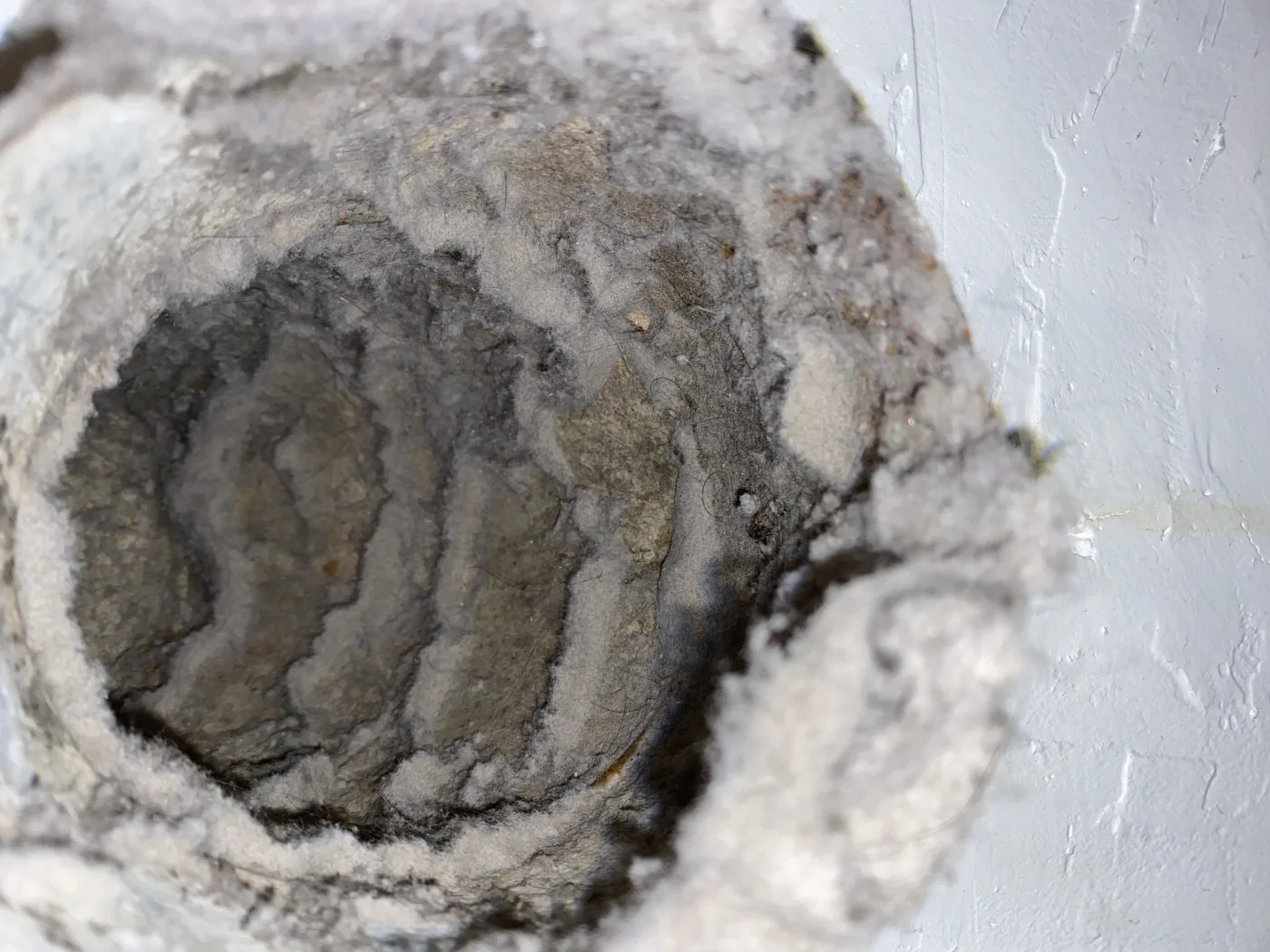 Dryer vent lint buildup removed from a Florida laundry exhaust path.
