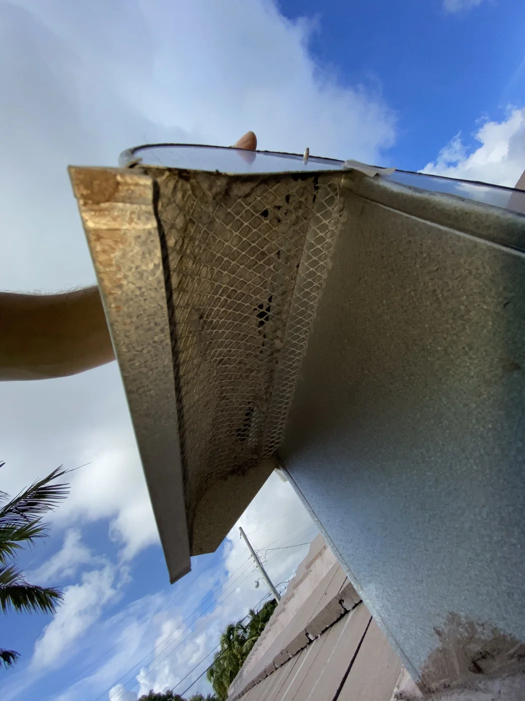 Fine mesh beneath an exterior exhaust hood with visible lint buildup