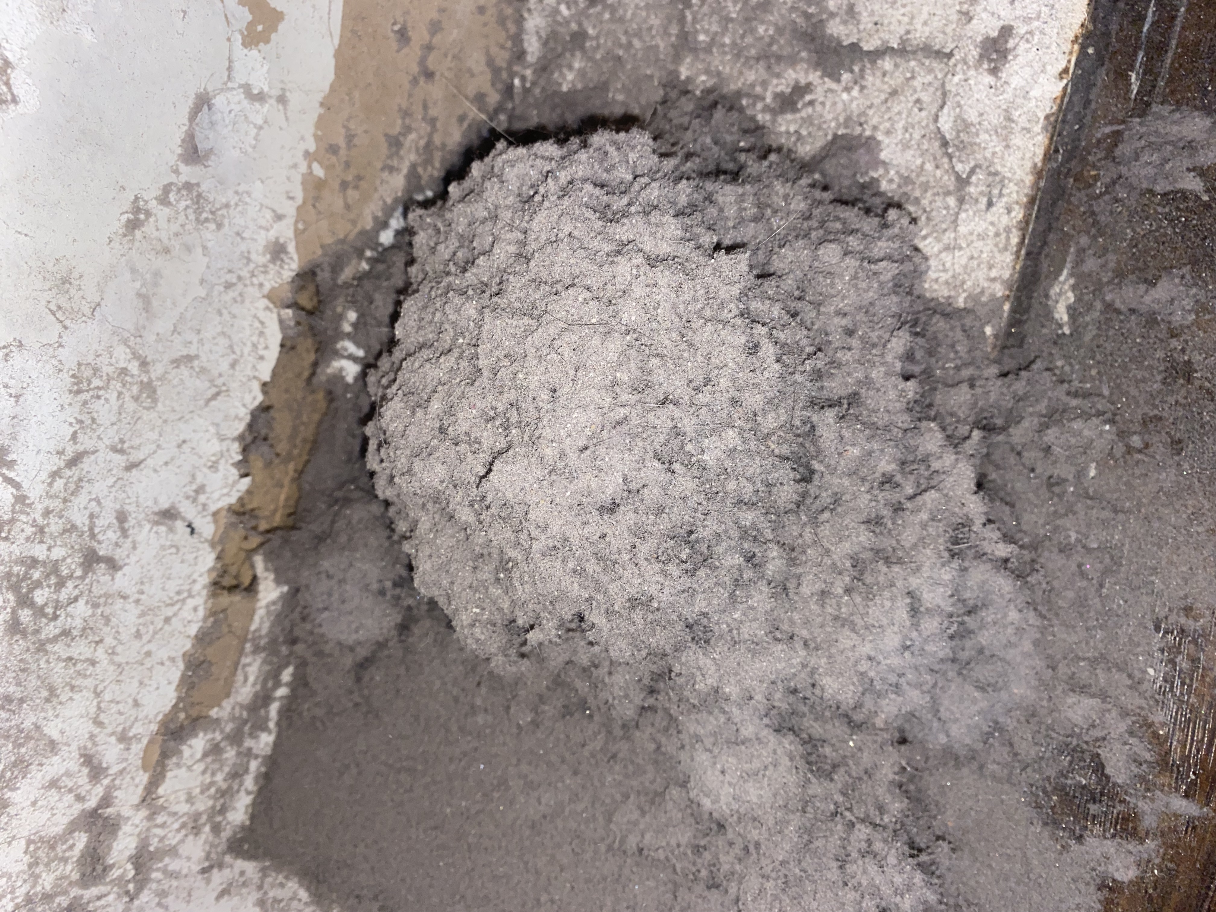 Lint Mountain after cleaning