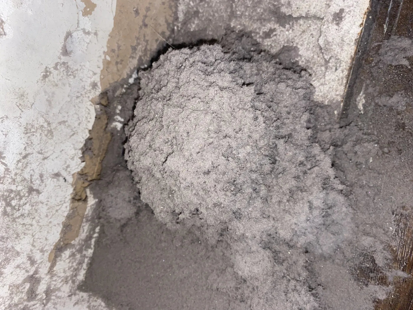 Lint and debris removed from a dryer vent exhaust path.