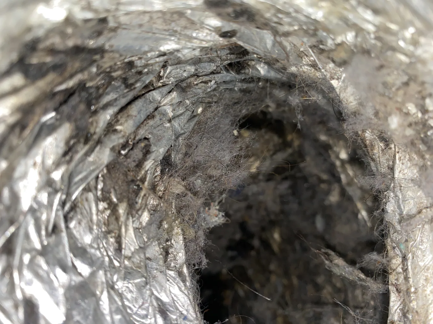 Dryer vent service photo showing lint removed from the exhaust route.