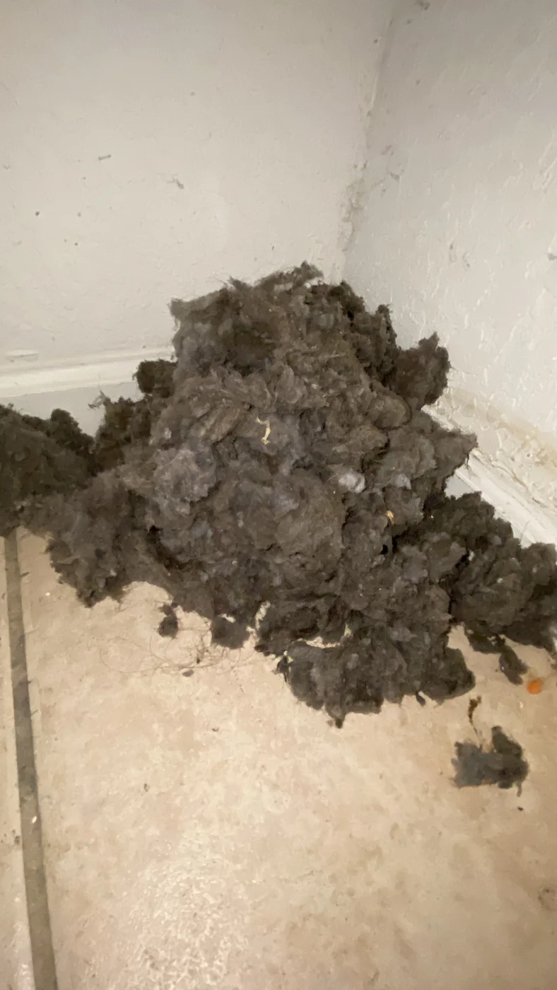 Pile of lint and debris photographed on a floor during dryer vent service