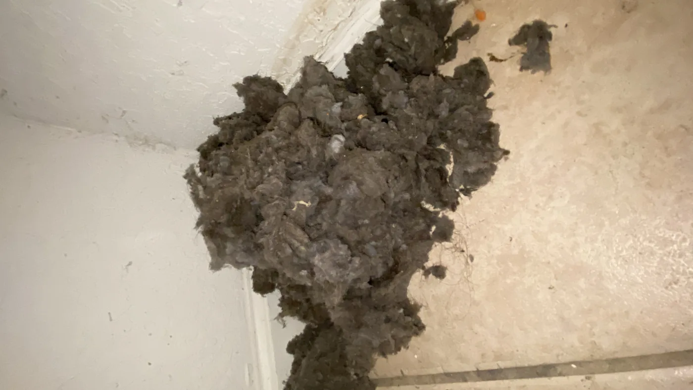 Dryer vent airflow check after lint restriction removal.